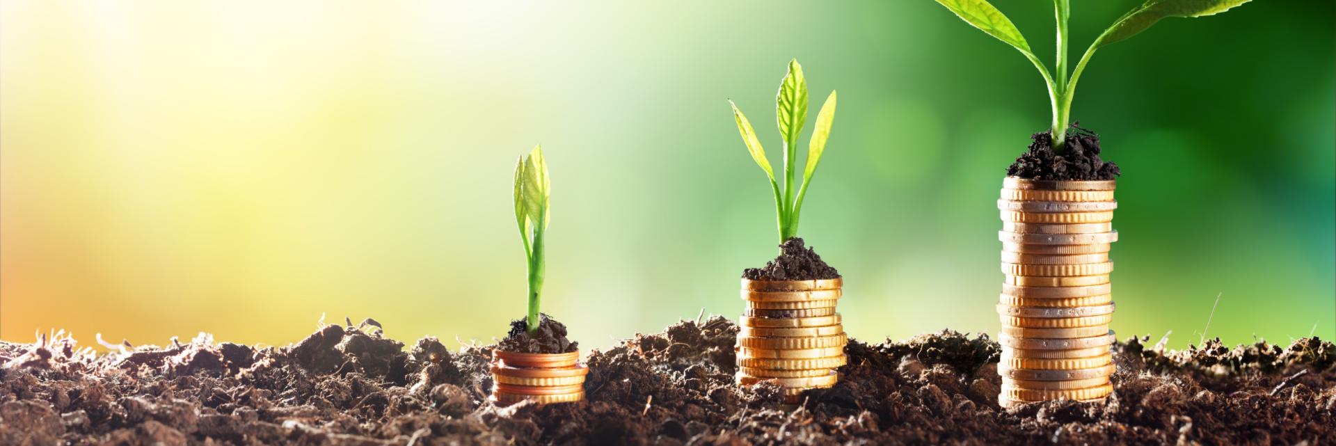 How FinTechs can play a role in Green Finance